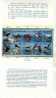 Folder Taiwan 1991 Stream Birds Stamps Bird Duck Kingfisher Fish Resident Migratory - Unused Stamps