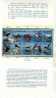 Folder Taiwan 1991 Stream Birds Stamps Bird Duck Kingfisher Fish Resident Migratory - Nuevos