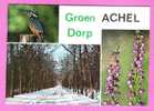 Achel Groen Dorp Met Ijsvogel Orchidee En Winterlandschap - Hamont-Achel