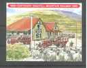 ISLE OF MAN  100 JAAR TRAMWAY MONT SNAEFELL  1994 ** - Tramways