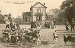 RAMBOUILLET (78) Chasse à Courre Curée Au Poste De L'Etang La Tour Meute Gros Plan - Rambouillet