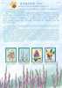 Folder Taiwan 2007 Orchid Stamps (I) Flower Flora - Neufs