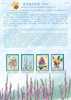 Folder Taiwan 2007 Orchid Stamps (I) Flower Flora - Ungebraucht