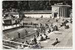 Oullins (69) :Vue Intérieur De La Nouvelle Piscine En 1961 (animée). - Oullins