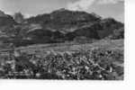 Meiringen Mit Well- Und Wetterhorn - Meiringen