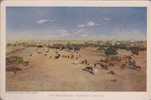 Princely State Bhavnagar, Vintage Series View Card, The Paddocks Ground, Horse, Animal, India - Other & Unclassified