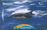 # NEW_ZEALAND NZ25S_2 Marine Mammals - Dolphin 5 Gpt 01.95 -animal,dauphin,dolphin- Tres Bon Etat - Nieuw-Zeeland