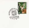 Inde N° YVERT 494 OBLITERE - Used Stamps