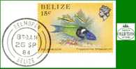 Belize Stamp # 706 Belmopan Obl. / Timbre Belize - Belize (1973-...)
