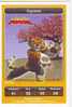 CARTE CARREFOUR DREAMWORKS KUNG FU PANDA TIGRESSE 99/216 BON ETAT - Altri & Non Classificati