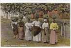 Carte Postale Ancienne Jamaïque - Banana Carriers - Agriculture, Fruits, Bananes - Jamaica