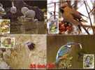 Bulgaria/Bulgarie  2007  Protected Birds  S/S -  4MC - Maximum Cards - FDC