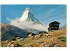 Zermatt - Winkelmatten Mit Matterhorn - Matten Bei Interlaken