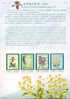 Folder Taiwan 2007 Orchid Stamps (II) Flower Flora - Neufs