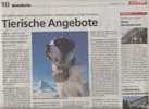 Page Gastrojournal Theme Berger Allemand - Other & Unclassified