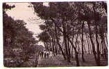 The Pines West Cliff Walk  - BOURNEMOUTH - Dorset - Bournemouth (from 1972)