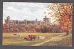 United Kingdom PPC Berkshire Windsor Castle, North Front, Cattle Salmon Series Post Card - Windsor Castle
