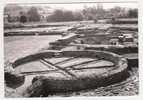 FOUILLES DES FONTAINES SALEES - THERMES GALLO ROMAINS - Fontaines Salees