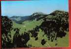 N228 Massif Du Chasseron Petites Roches Et Roches Blanches Jura Vaudois.Grand Format.Deriaz 14005 - Roche