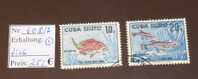 Cuba Michel No: 608    O Used Gebraucht   Fish   #1707 - Usati