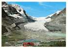 Athabasca Glacier  , Alberta - Other & Unclassified