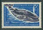 French Antartic Territory TAAF 1966 MNH** - Ballenas