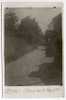 65 - Hautes Pyrénées /  Carte Photo  OSSUN :  Rue De L' Egalité - Ossun