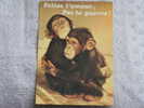 SINGES CHIMPANZES FAITES L AMOUR  PAS LA GUERRE - Monkeys