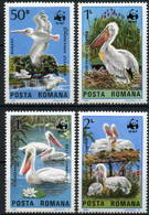 Romania 1984 MiNr. 4104 - 4107  Rumänien Birds WWF Dalmatian Pelicans 4v MNH** 3,00 € - Pélicans