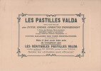 VERSO LES PASTILLES VALDA RECTO ENVIRONS DE LUCHON LES PYRENEES VUE DU SOMMET DU PIC DE SAUVEGARDE - Plaques En Carton