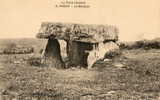 VAOUR (81) Pierre Druidique Dolmen Gros Plan - Vaour