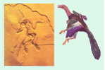 Fossil Bird   , Postal Stationery -- Articles Postaux (A49-06) - Fossili