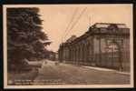 TERVUREN / MUSEE DU CONGO BELGE / ENTREE DU MUSEE VERS LA CHAUSSEE DE LOUVAIN - Tervuren