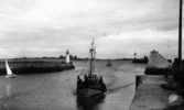 SAINT VAAST LA HOUGUE  1950 PECHEUR RENTREE DES BATEAUX DE PECHES  CAP 1952 - Saint Vaast La Hougue