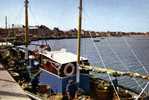 SAINT VAAST LA HOUGUE   DEPART POUR LA PECHE 1960 PECHEURS - Saint Vaast La Hougue