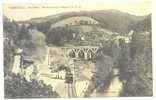 81 // VABRE - Pont Neuf, Vue De La Gare Du Départ D'un Train, ** - Vabre