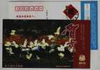 The Cattle Egret Bird,China 2010 Zhejiang Qiaosi Prison New Year Greeting Advertising Postal Stationery Card - Storchenvögel