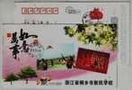Kite Playing,China 2009 Tongxiang Xinming School Advertising Postal Stationery Card - Ohne Zuordnung