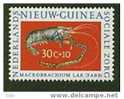 Nouvelle-Guinée Hollandaise Nzw 1 Val.   Mnh*** - Schaaldieren