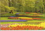 Keukenhof Lisse Holland - Lisse