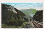 ELEPHANT'S HEAD AND ENTRANCE TO CRAWFORD NOTCH, WHITE MOUNTAINS (TRAIN ARRIVANT) 1604 - Other & Unclassified