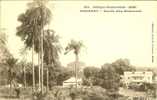 GUINEE FRANCAISE / KONAKRY - Entrée D'un Boulevard - Guinée Française