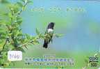 Prepayee Carte Japon OISEAU (3164)  Bird * Prepaid Card Japan * Karte VOGEL * - Songbirds & Tree Dwellers