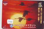 Prepayee Carte Japon OISEAU (3165)  Bird * Prepaid Card Japan * Karte VOGEL * - Zangvogels