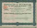 LOT DE 10 X : ESSENCES & PETROLES DE SAINT JULIEN DE PEYROLAS (B)  VERTE - Oil