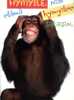(79) 1 X Monkey Postcard - Carte Postale Sur Les Singes - Monkeys