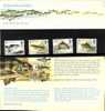 Great Britain Scott # 1011 - 1014 MNH VF Complete. Fish - Presentation Packs