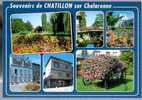 Jolie CP 01 Souvenirs De Chatillon Sur Chalaronne Multivue - Ed Cellard 349834 - Châtillon-sur-Chalaronne