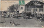 CPA SETIF N°40 Le Marché Aux Grains Belle Animation Avec Enfants - Sétif