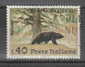 Italia   -   1967.  Orso  Marsicano.  Marsican Bear. - Ours